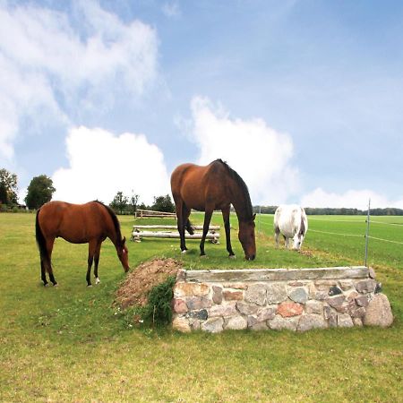 Reitpension A. Behrens Schwasdorf ภายนอก รูปภาพ